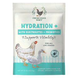 Fresh Eggs Daily Hydration+ with Electrolytes & Probiotics - 8 oz