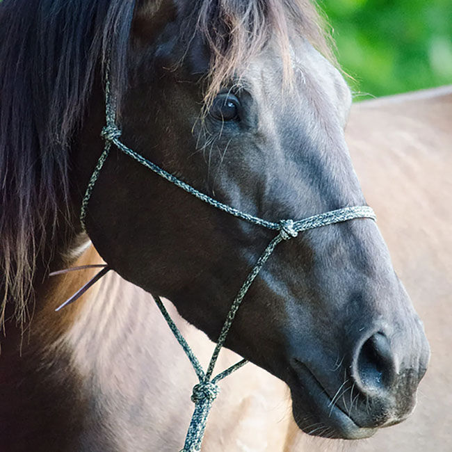 Parelli Horseman's Halter image number null