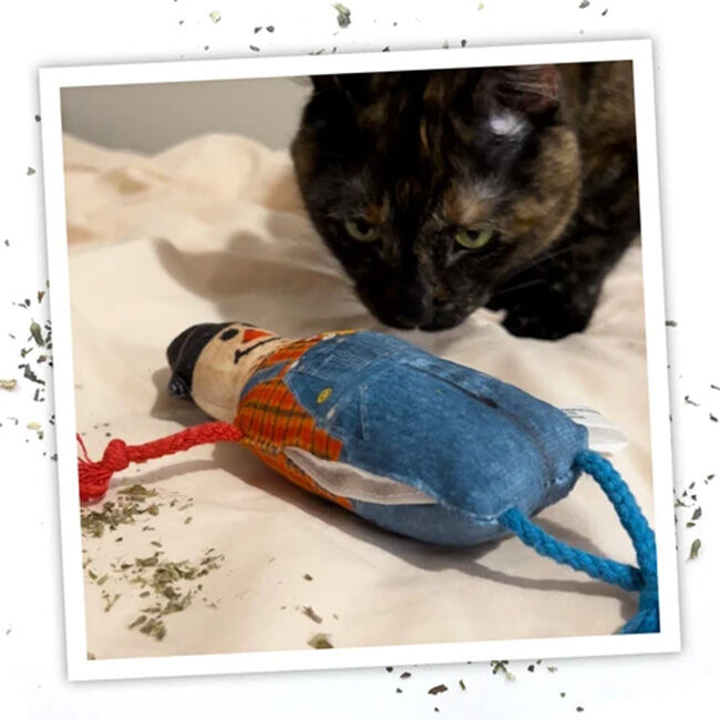 Meowijuana Get Spooked Refillable Catnip Toy - Scarecrow image number null