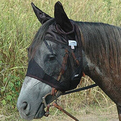 Cashel Crusader Quiet Ride Fly Mask