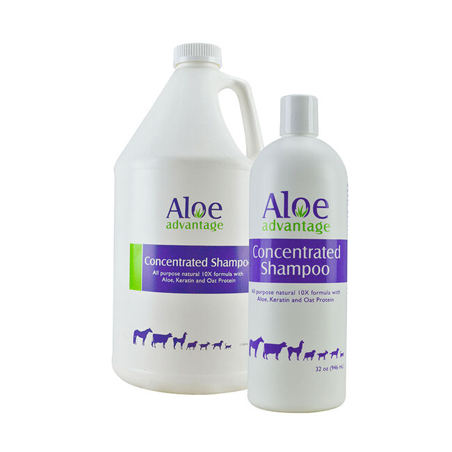 Aloe Advantage Concentrated Shampoo image number null