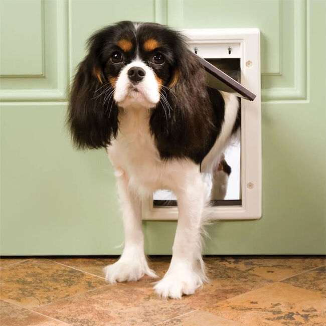 PetSafe Plastic Pet Door image number null