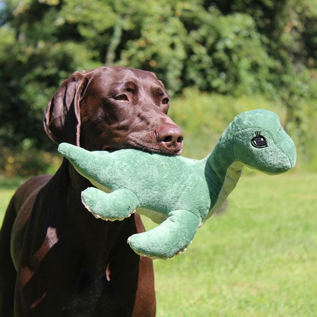 Tall Tails Squeaker Dog Toy - Nessie image number null
