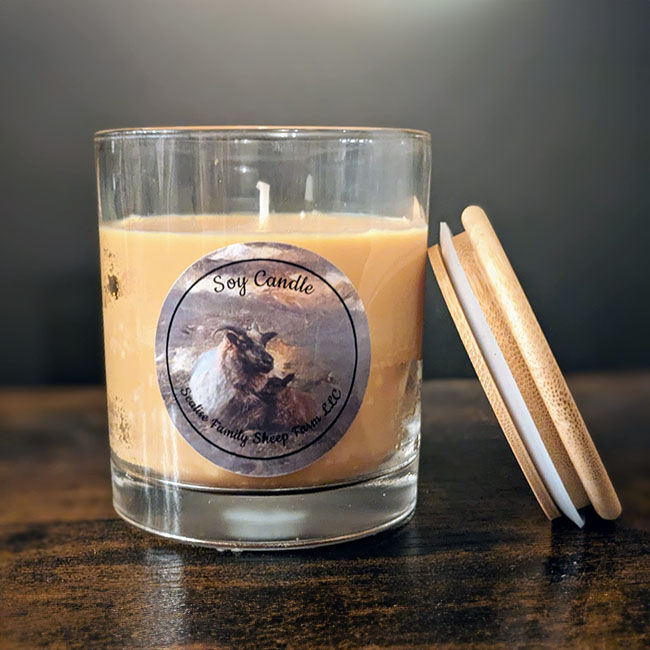 Scalise Family Sheep Farm Soy Candle - Old Town Tavern image number null