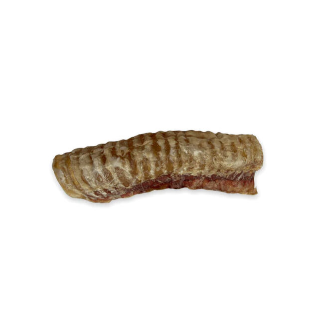 Chasing Our Tails - USA-Sourced & USA-Made Smoked Beef Trachea Half image number null