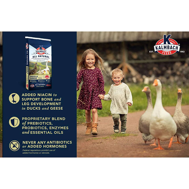 Kalmbach Feeds 18% Duck, Goose & Swan Feed - 10 lb image number null