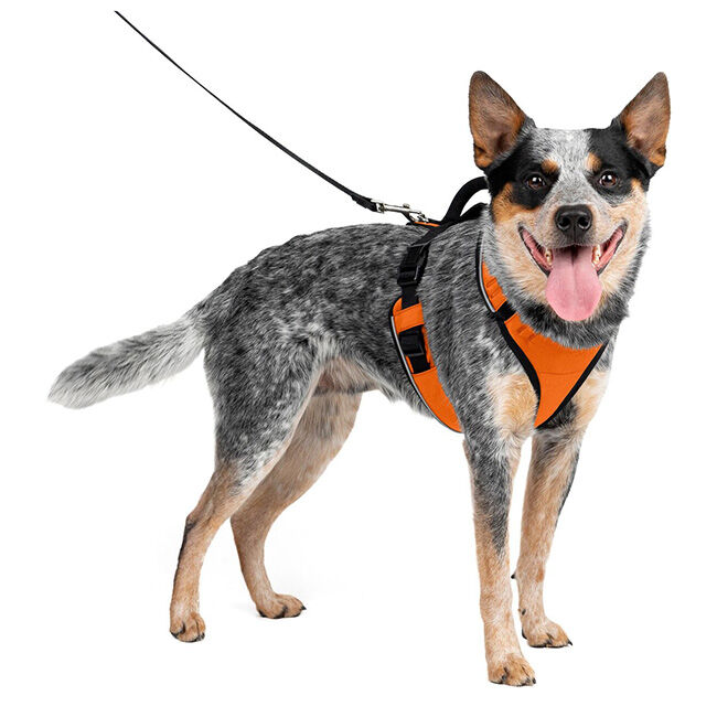 PetSafe EasySport Harness - Orange image number null