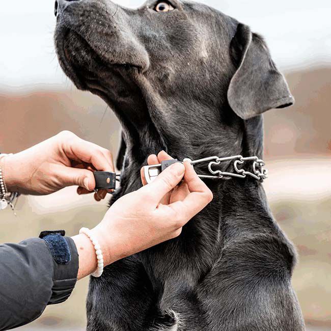 Herm Sprenger Stainless Steel ClicLock Buckle - Stainless Steel image number null