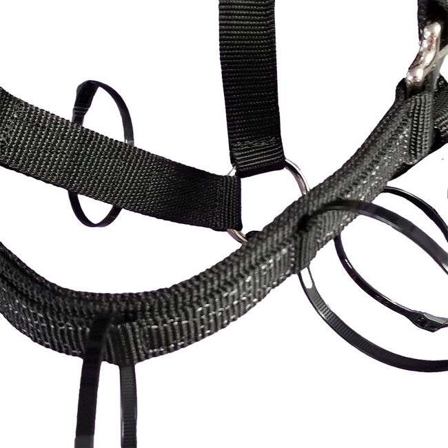 ThinLine Replacement Flexible Filly Muzzle Zip Ties image number null