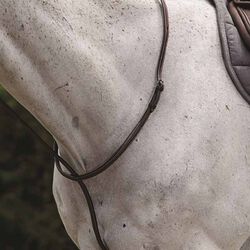Collegiate Raised Standing Martingale II