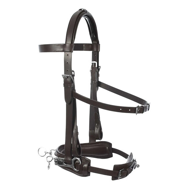 Equinavia Saga Lunge Cavesson - Chocolate Brown image number null