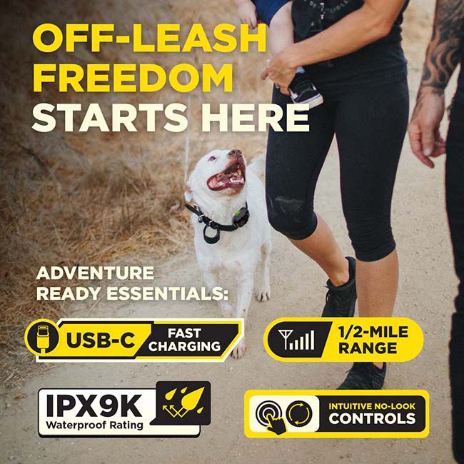 Dogtra 200IQ 1-Dog Unit image number null