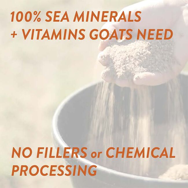 Redmond Agriculture Goat Mineral - 5 lb image number null