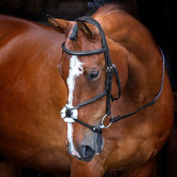 Shires Velociti Figure 8 Bridle