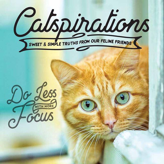 Catspirations: Sweet & Simple Truths from Our Feline Friends image number null
