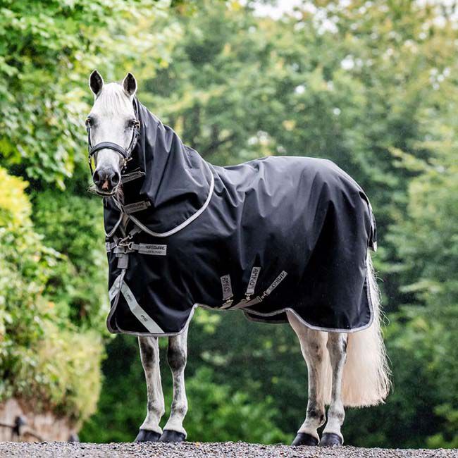 Horseware Amigo Bravo 12 Plus Turnout (400g Heavy) -Black/Titanium Grey & Silver image number null