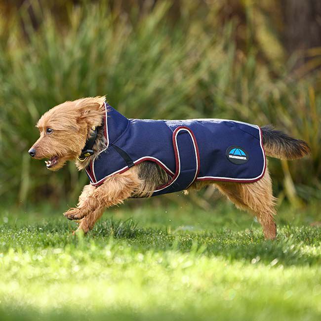 WeatherBeeta ComFiTec Premier Deluxe Waterproof Dog Coat - Navy/Burgundy image number null