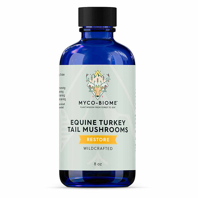 Adored Beast Apothecary Equine Turkey Tail Mushroom Liquid Extract - 8 oz image number null