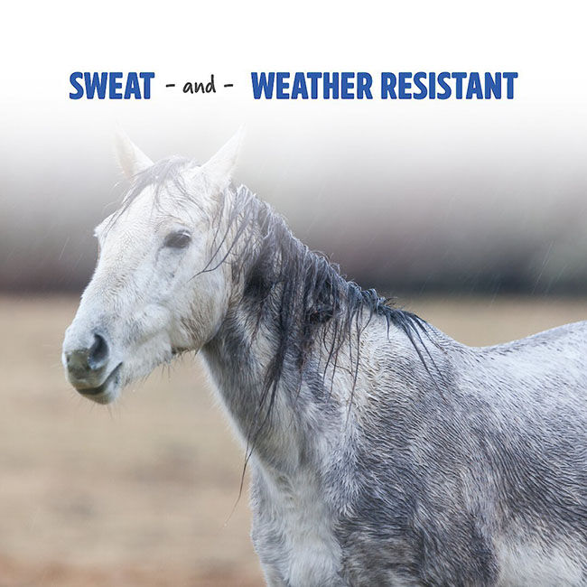 Manna Pro Opti-Force Sweat-Resistant Fly Spray image number null