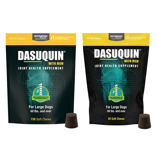 Nutramax Dasuquin for Large Dogs, Joint Health Supplement, Contains Glucosamine for Dogs, Plus Chondroitin, ASU, MSM and More, Supports Healthy Joints, Soft Chews image number null