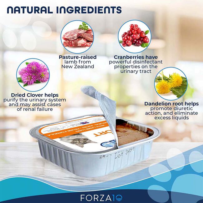 Forza10 Nutraceutic Actiwet Cat Food - Renal Support Diet - Lamb Recipe - 3.5 oz image number null