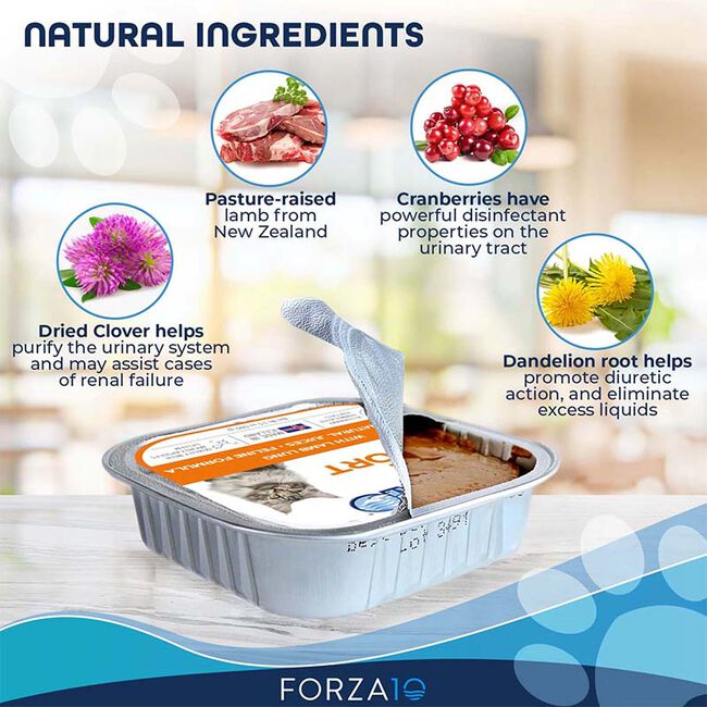 Forza10 Nutraceutic Actiwet Cat Food - Renal Support Diet - Lamb Lung Recipe - 3.5 oz image number null