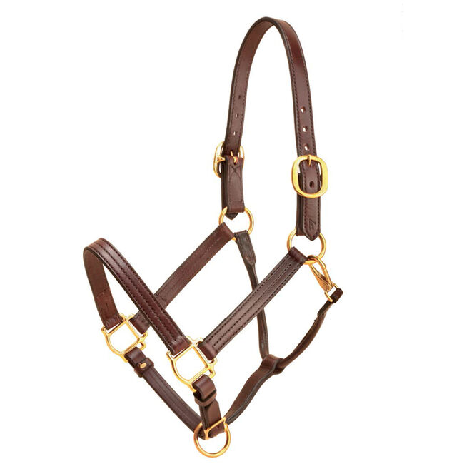 Tory Leather Triple Stitched Track Halter Havana with Brass Hardware image number null