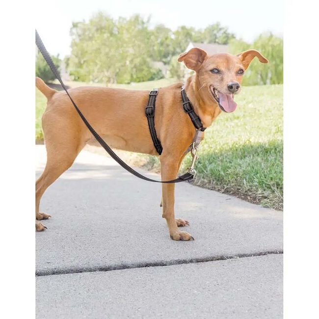 PetSafe 3-in-1 Dog Harness image number null