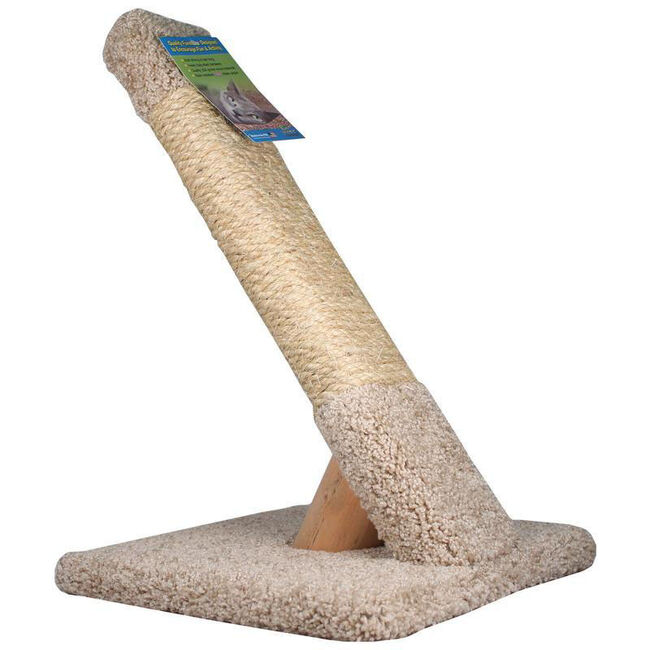 Ware Pet Products Angled Scratcher image number null