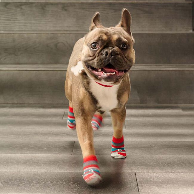 RC Pets Fun PAWks for Dogs - Bandit image number null