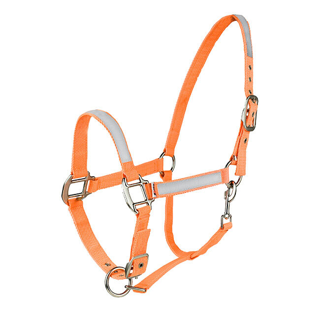 Horze Reflective Halter image number null