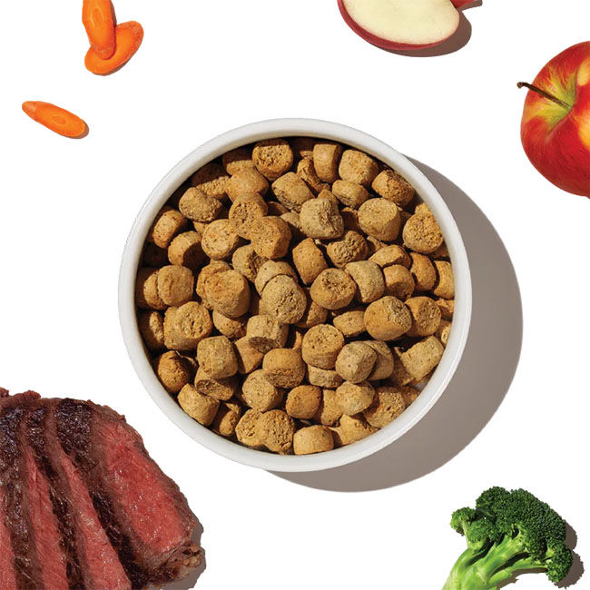 The Honest Kitchen Grain-Free Whole Food Clusters Dog Food - Beef Recipe image number null