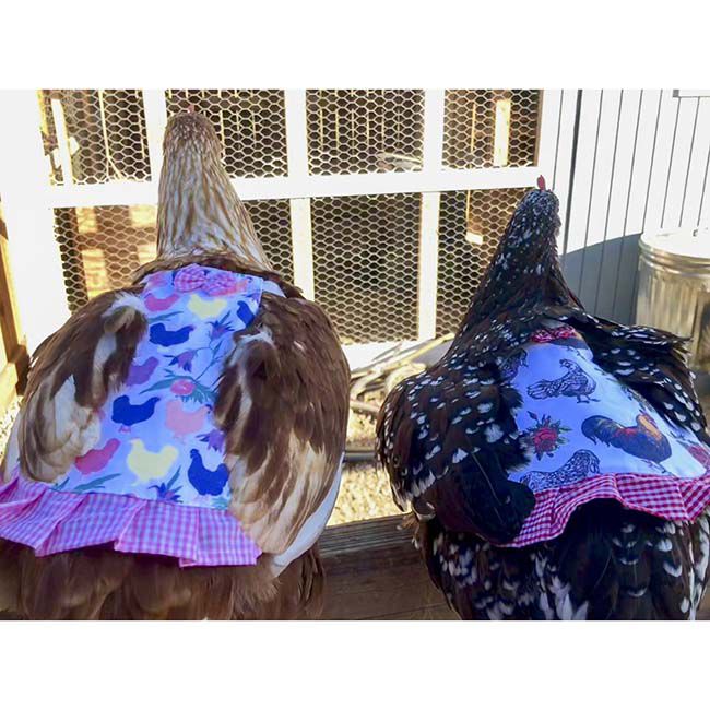 Hen Couture Hen Saddle image number null