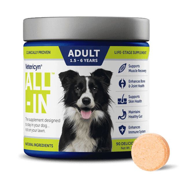 Vetericyn All-In Life Stage Supplement for Adult Dogs image number null