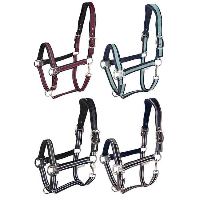 Waldhausen Athletic Halter image number null