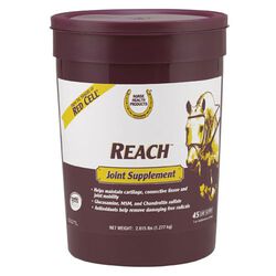 Horse Health Reach Joint Supplement