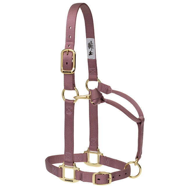 Weaver Equine Original 1" Adjustable Halter - Mauve image number null