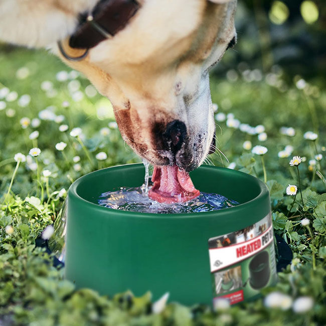 Farm Innovators Heated Pet Bowl - 1.5 Gallon Capacity - Green image number null