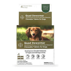 Bayer Chewable Quad Canine Dewormer-2-25 lbs 4 Count