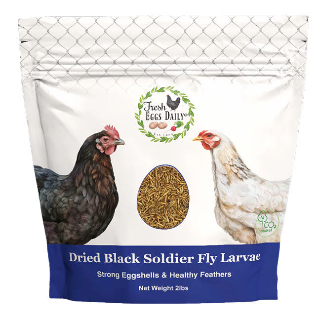 Fresh Eggs Daily Dried Black Soldier Fly Larvae - 2 lb image number null