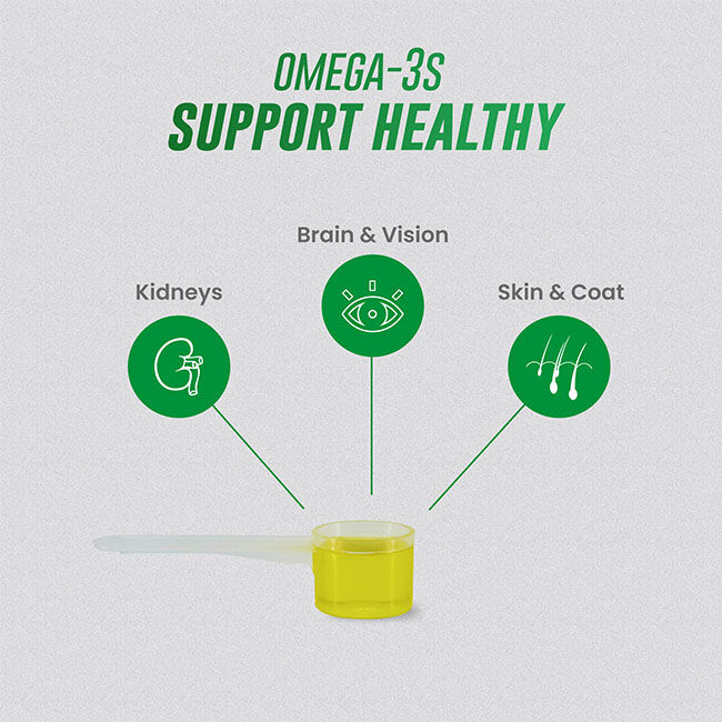 Nutramax Welactin Omega 3 Fish Oil for Cats, Skin and Coat Health Supplement, Plus Kidney, Brain, and Vision Support, Premium Omega 3 Fatty Acids EPA and DHA - 4 oz image number null