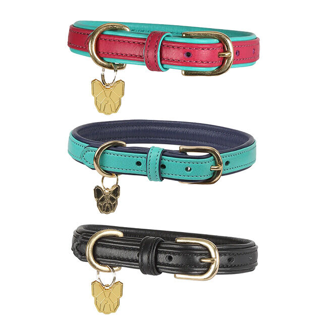 Shires digby and fox dog sale collar