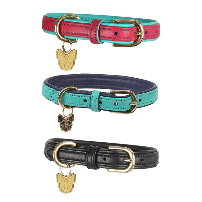 Shires Digby & Fox Padded Leather Dog Collar image number null