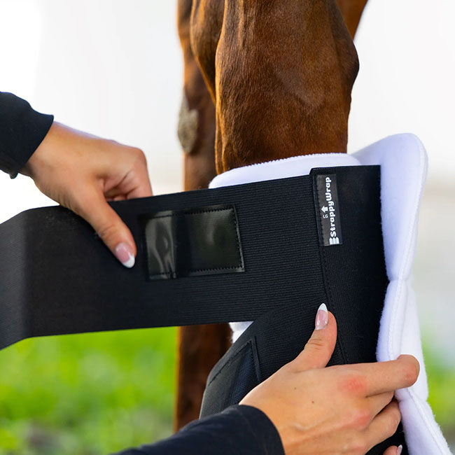 StrappyWrap Horse Wraps image number null