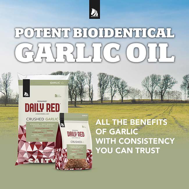 Redmond Equine Daily Red Crushed with Garlic - 5 lb image number null