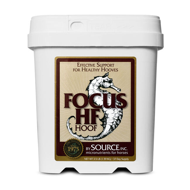 SOURCE Focus HF Hoof image number null