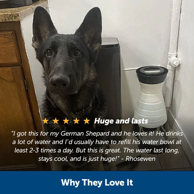 PetSafe Healthy Pet Water Station - Small image number null