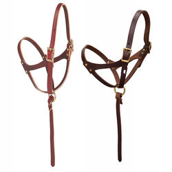 Weaver Equine Figure 8 Foal Halter