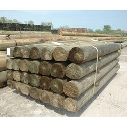 American Timber and Steel Round-Faced Pressure-Treated Fence Post