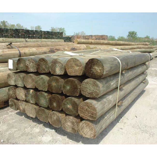 Round Pressure Treated Wood Fence Post image number null